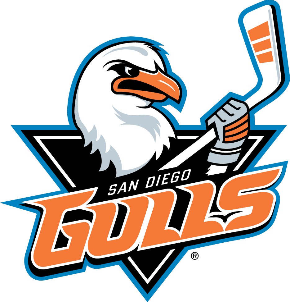 San Diego Gulls 2015-Pres Primary Logo iron on transfers for clothing